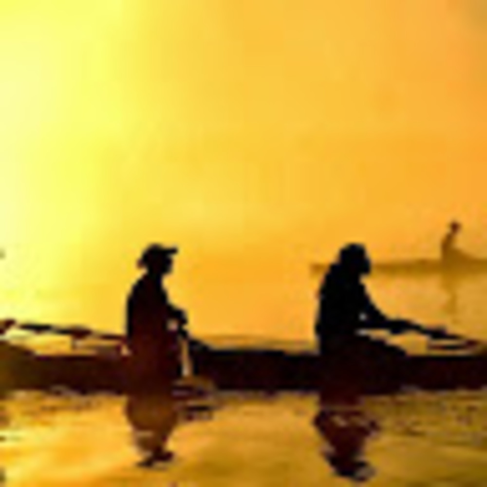 Meet your Posher, Carolyn